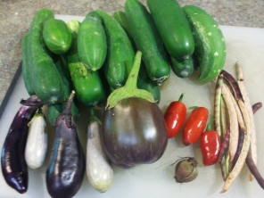 Part of one day's harvest in late summer